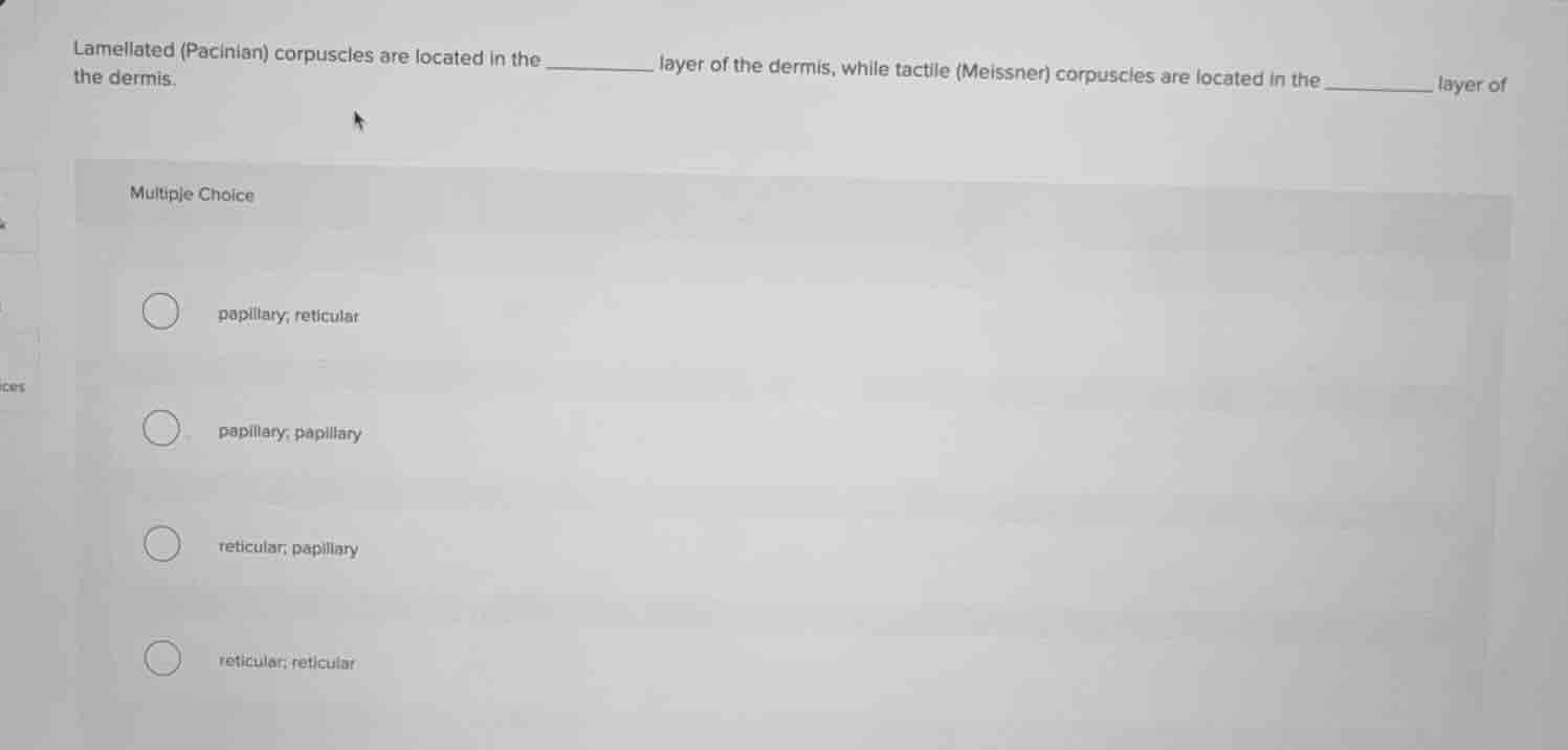 lamellated (pacinian) corpuscles are located in the _______ layer of th…