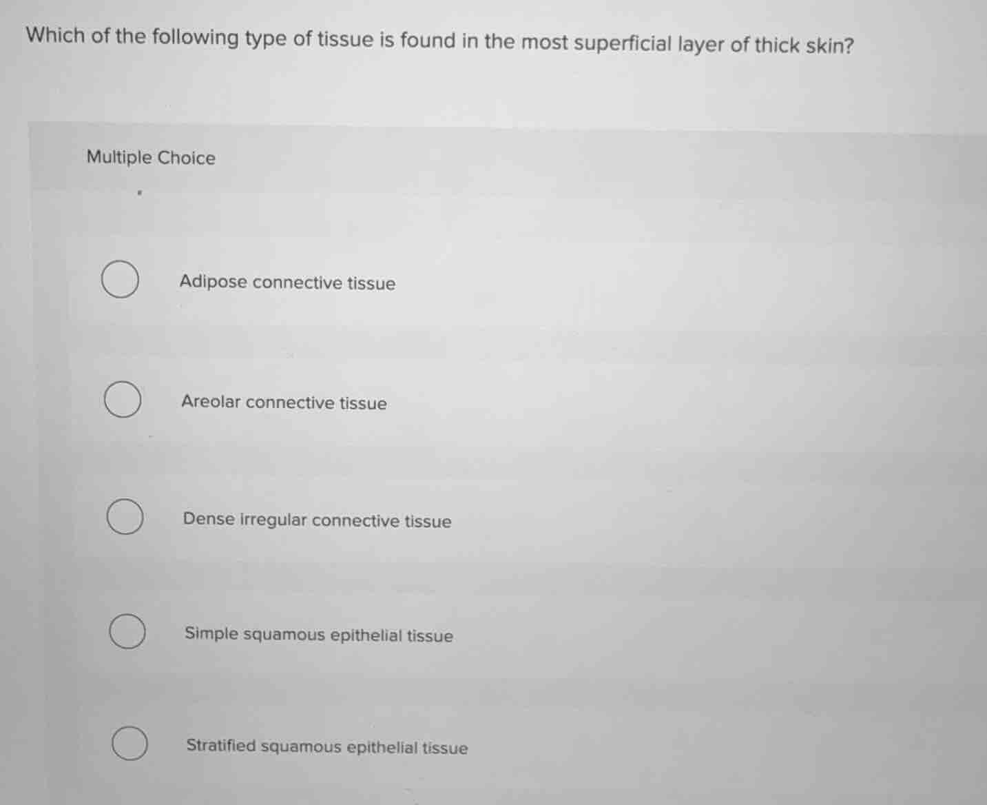 which of the following type of tissue is found in the most superficial …