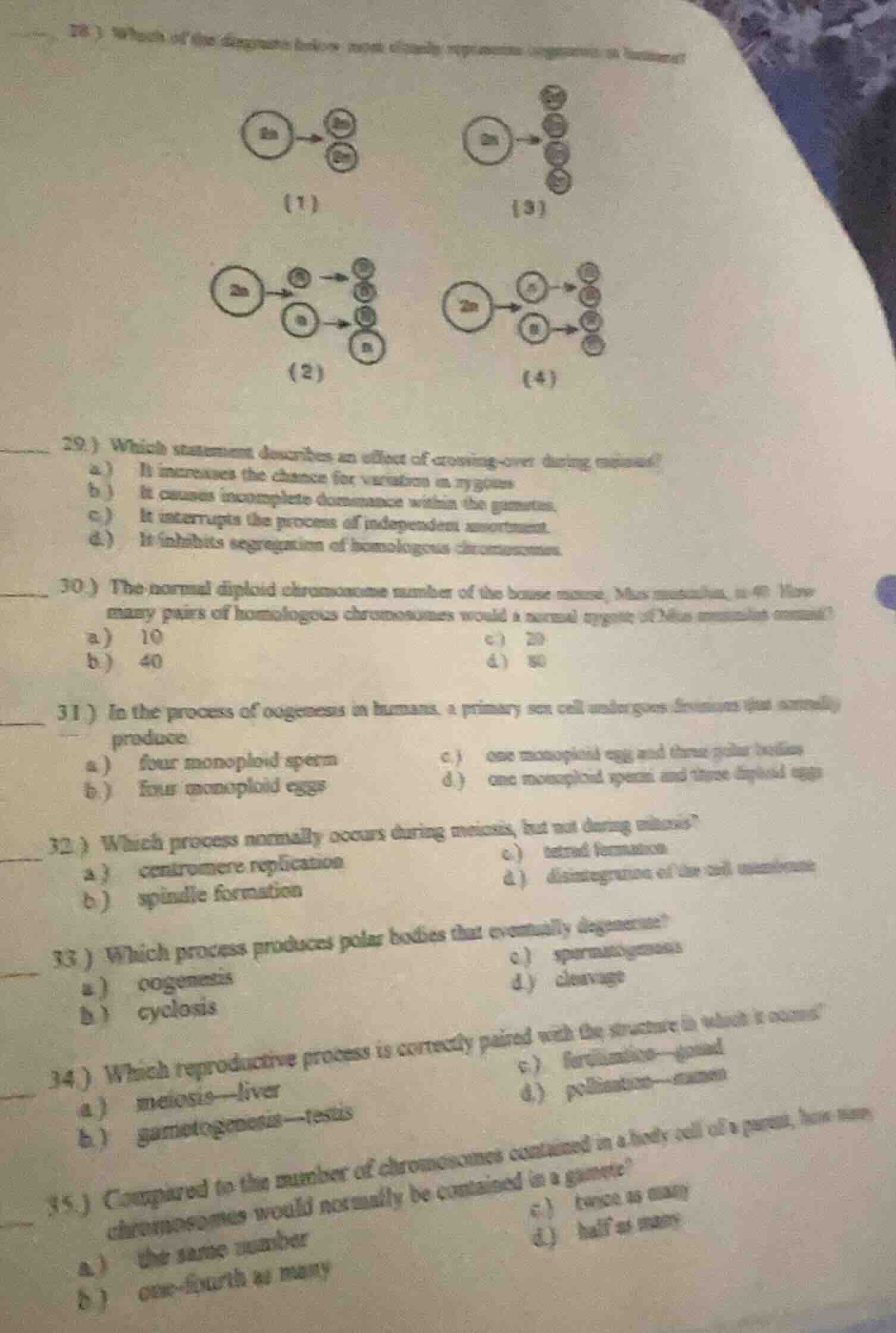 28 ) which of the diagrams below most clearly represents components of …