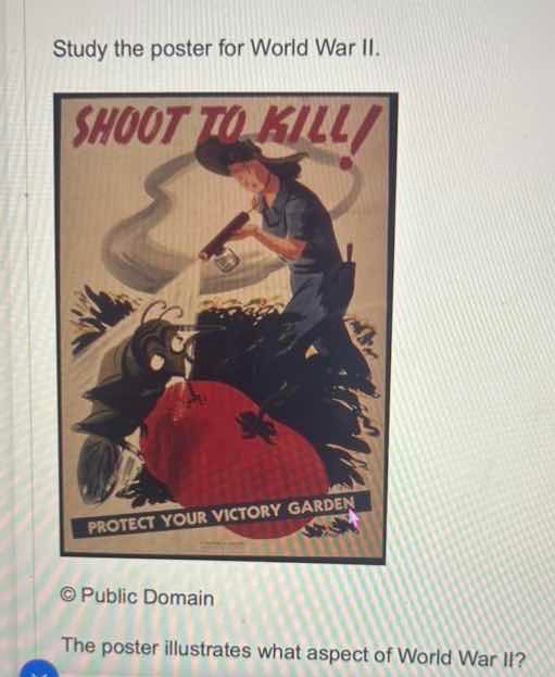 study the poster for world war ii. shoot to kill! protect your victory …