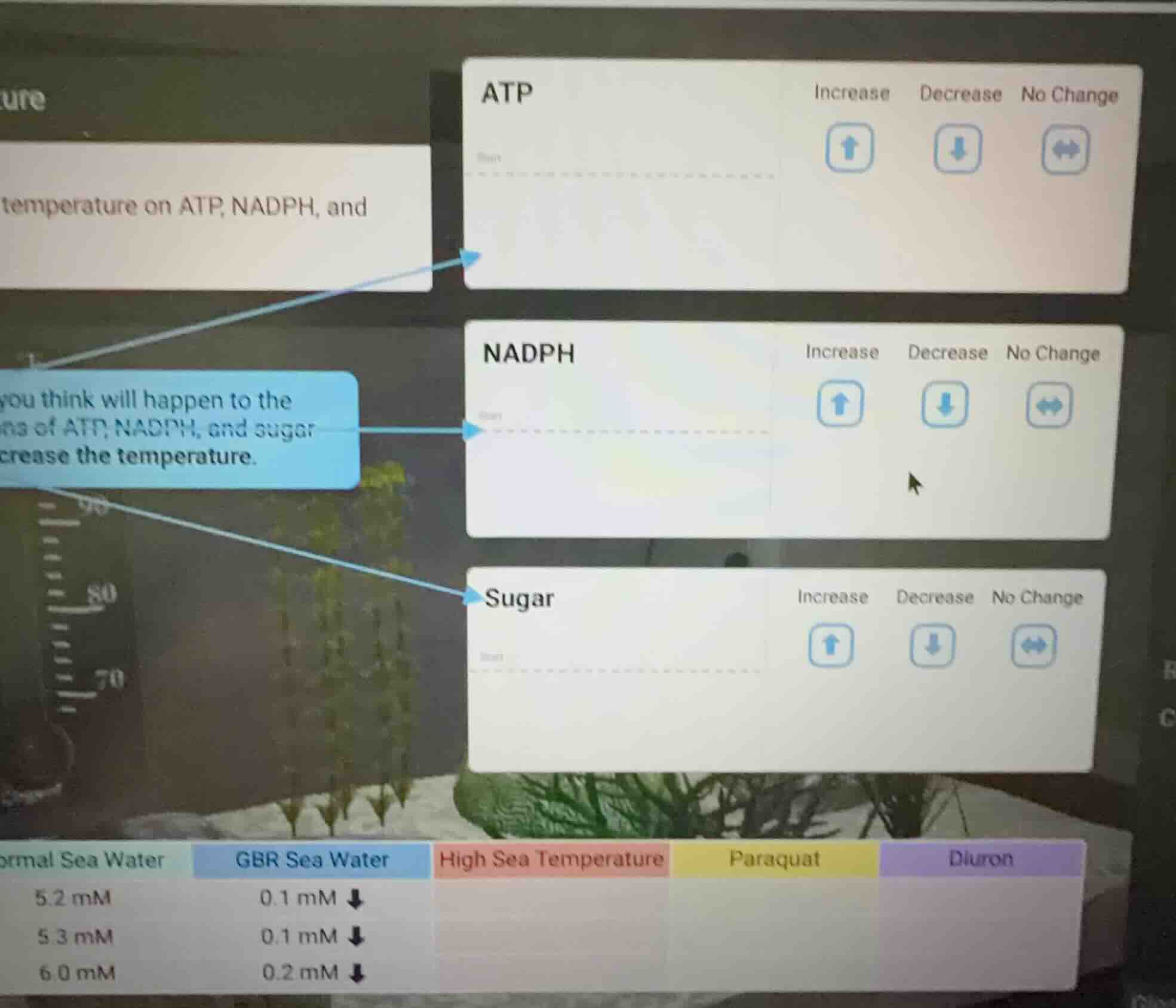temperature on atp, nadph, and you think will happen to the ns of atp, …