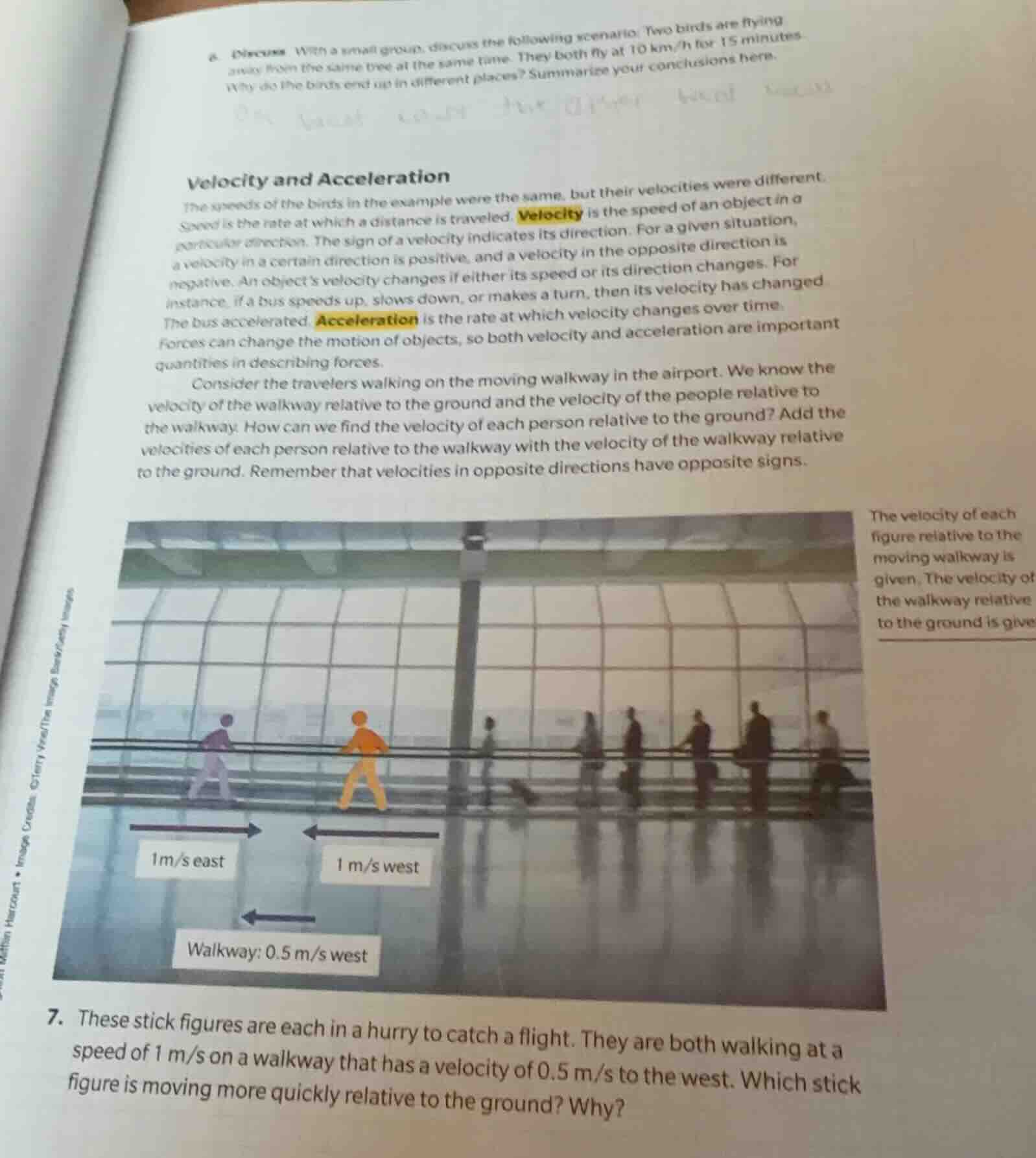 6. discuss with a small group, discuss the following scenario: two bird…