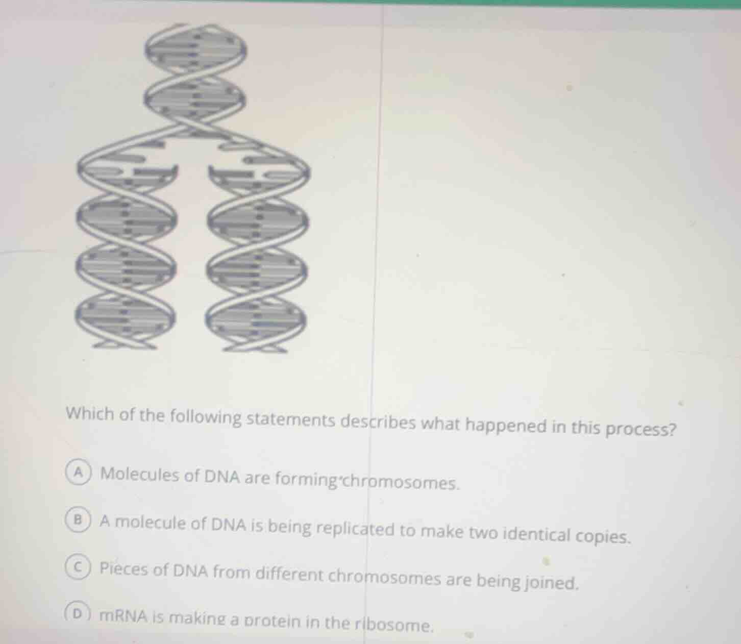 which of the following statements describes what happened in this proce…
