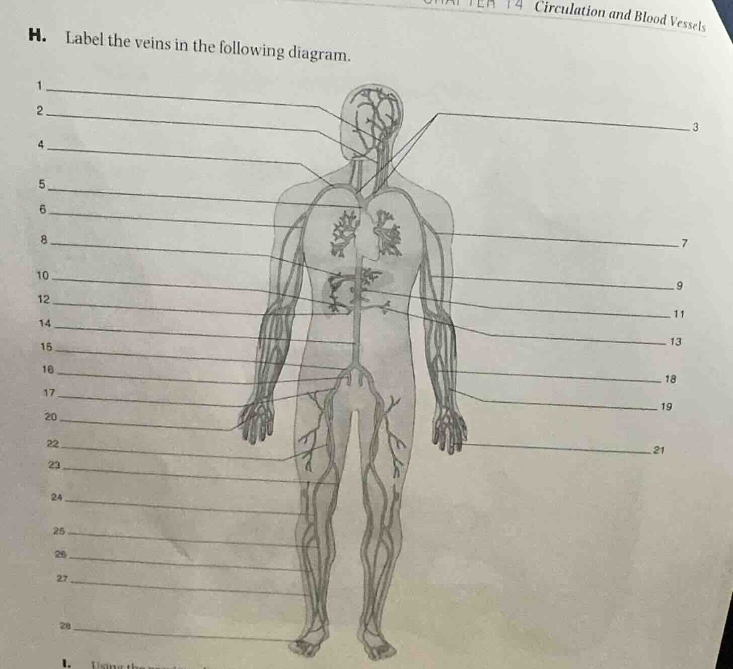 h. label the veins in the following diagram. 1 ______ 2 ______ 4 ______…