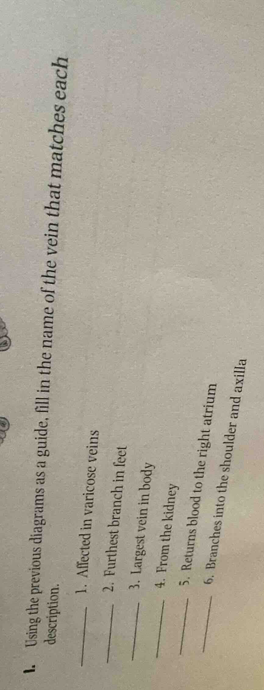 using the previous diagrams as a guide, fill in the name of the vein th…