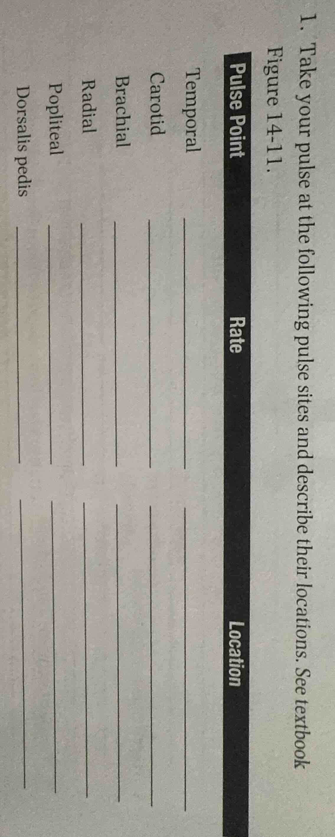 1. take your pulse at the following pulse sites and describe their loca…