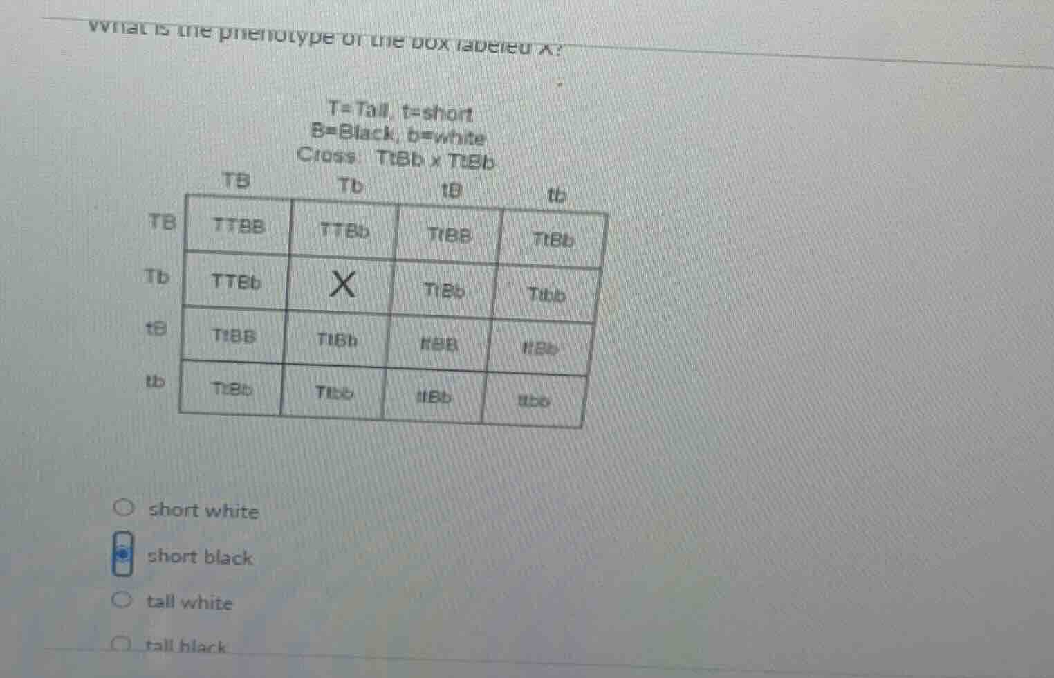 what is the phenotype of the box labeled x? t=tall, t=short b=black, b=…