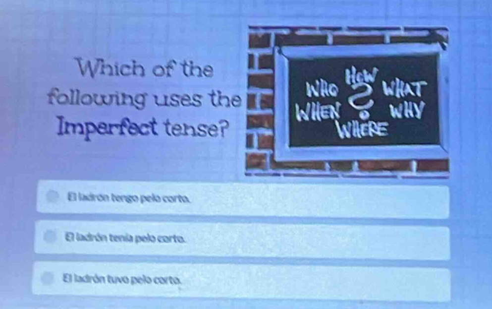 which of the following uses the imperfect tense? el ladrón tengo pelo c…