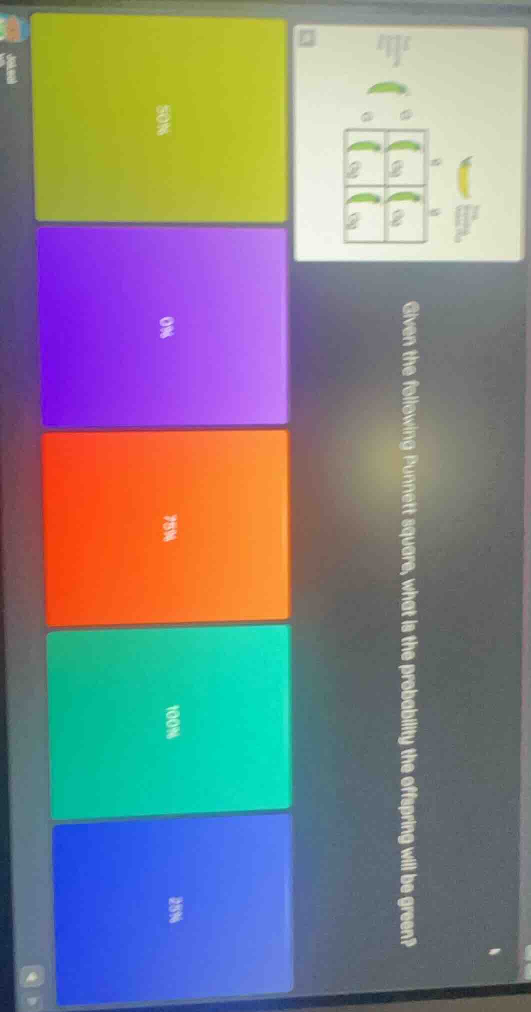 given the following punnett square, what is the probability the offspri…