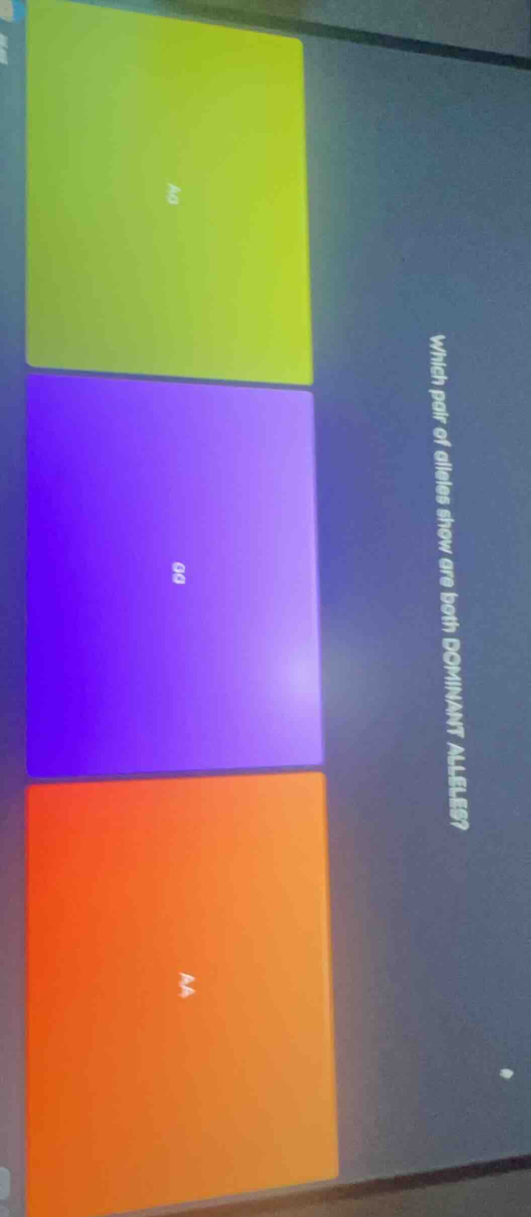 which pair of alleles show are both dominant alleles?\ aa\ qq\ aa