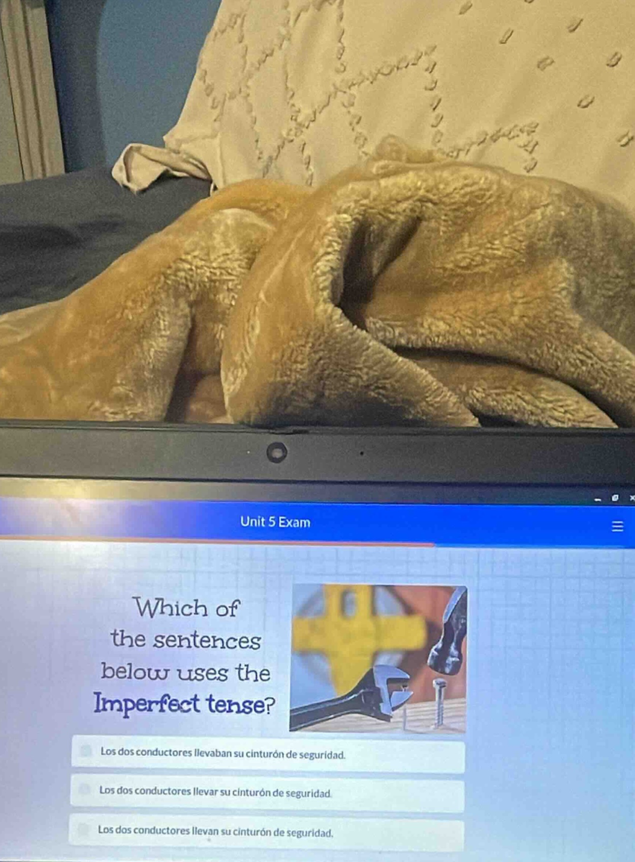 unit 5 exam which of the sentences below uses the imperfect tense? los …