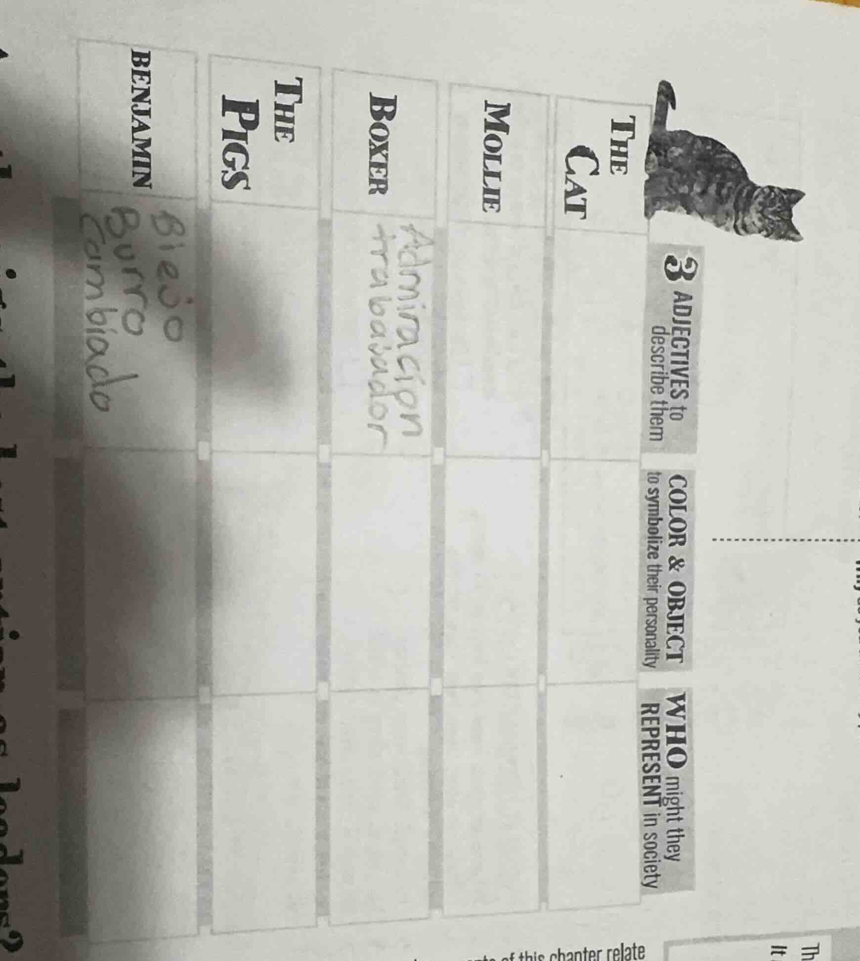 3 adjectives to describe them color & object to symbolize their persona…