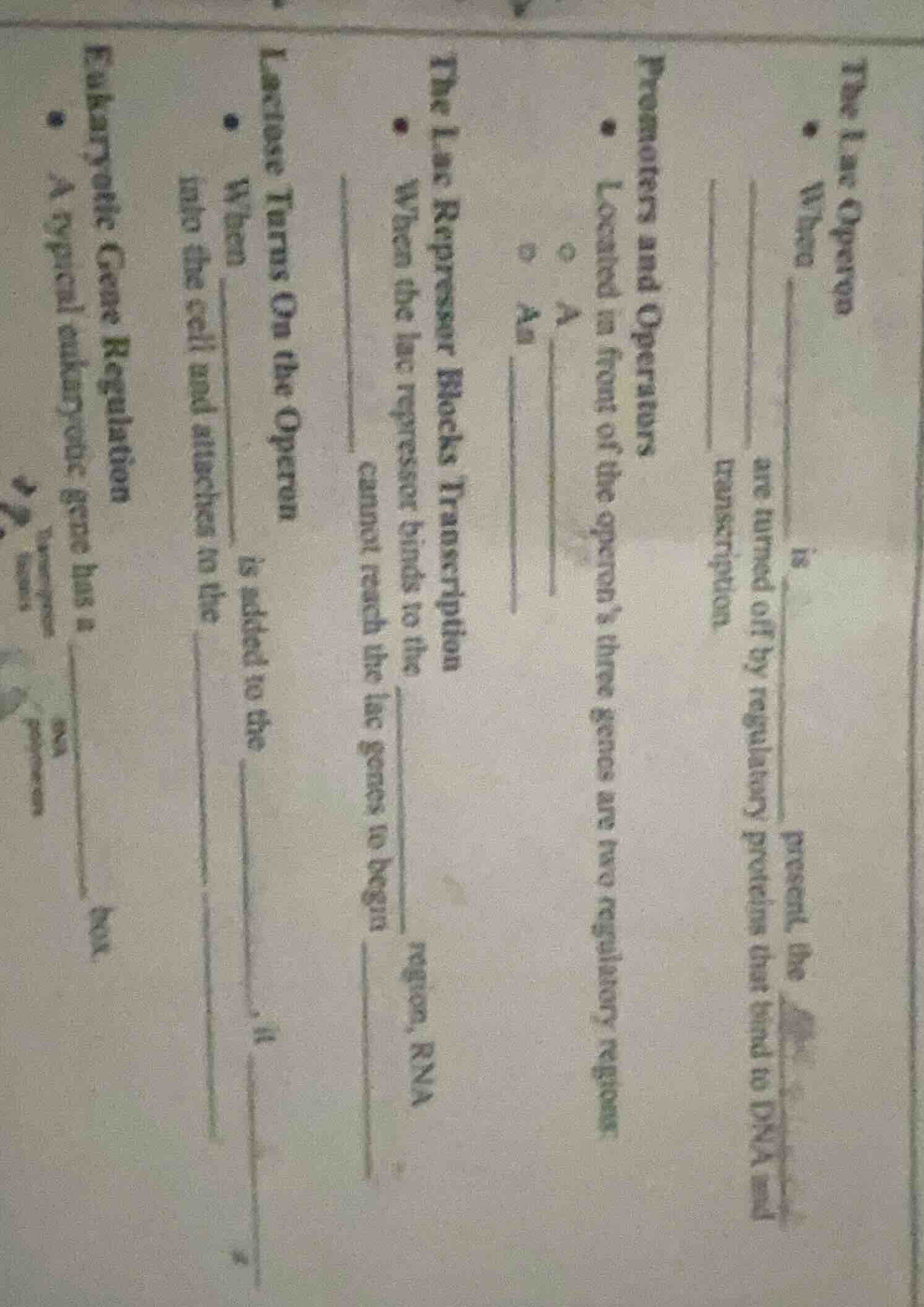 the lac operon - when ______ is ______ present, the ______ ______ are t…