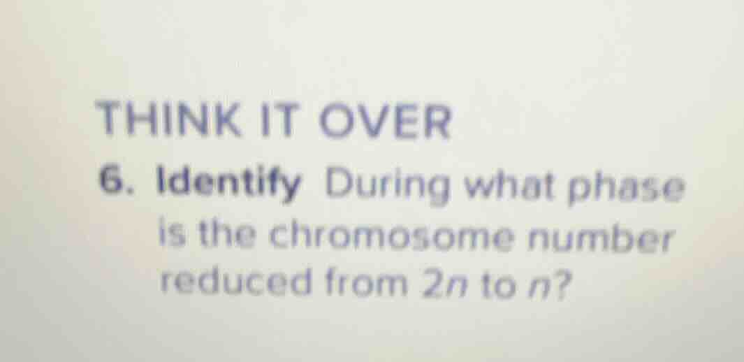 think it over 6. identify during what phase is the chromosome number re…