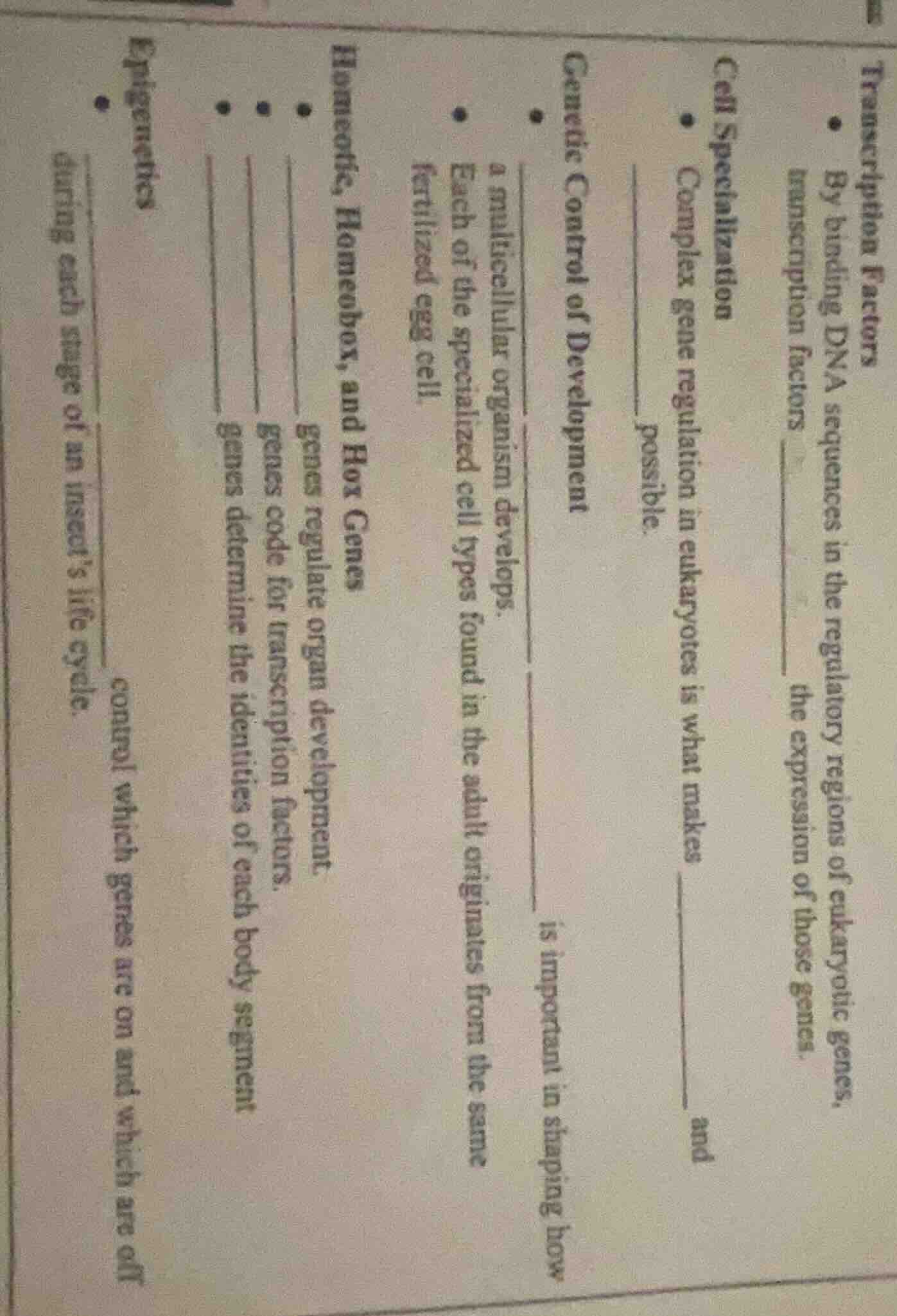 transcription factors - by binding dna sequences in the regulatory regi…
