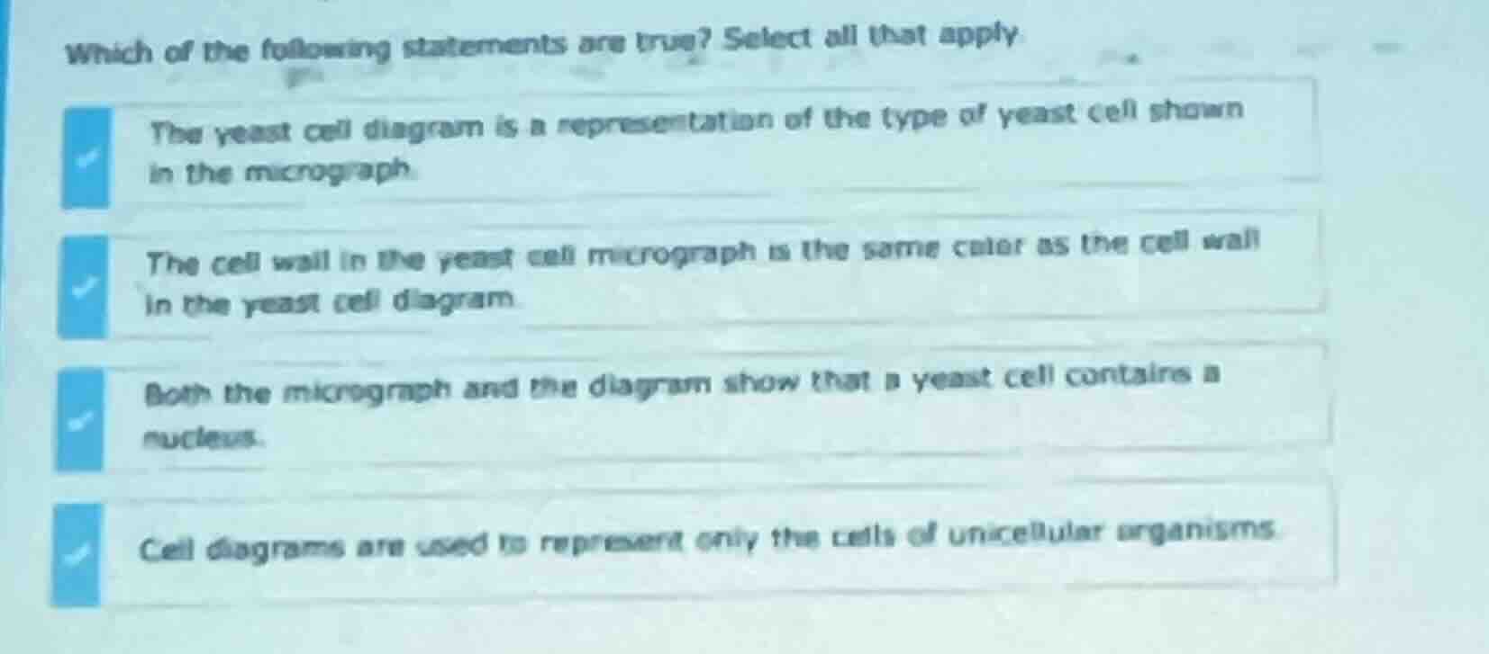 which of the following statements are true? select all that apply the y…