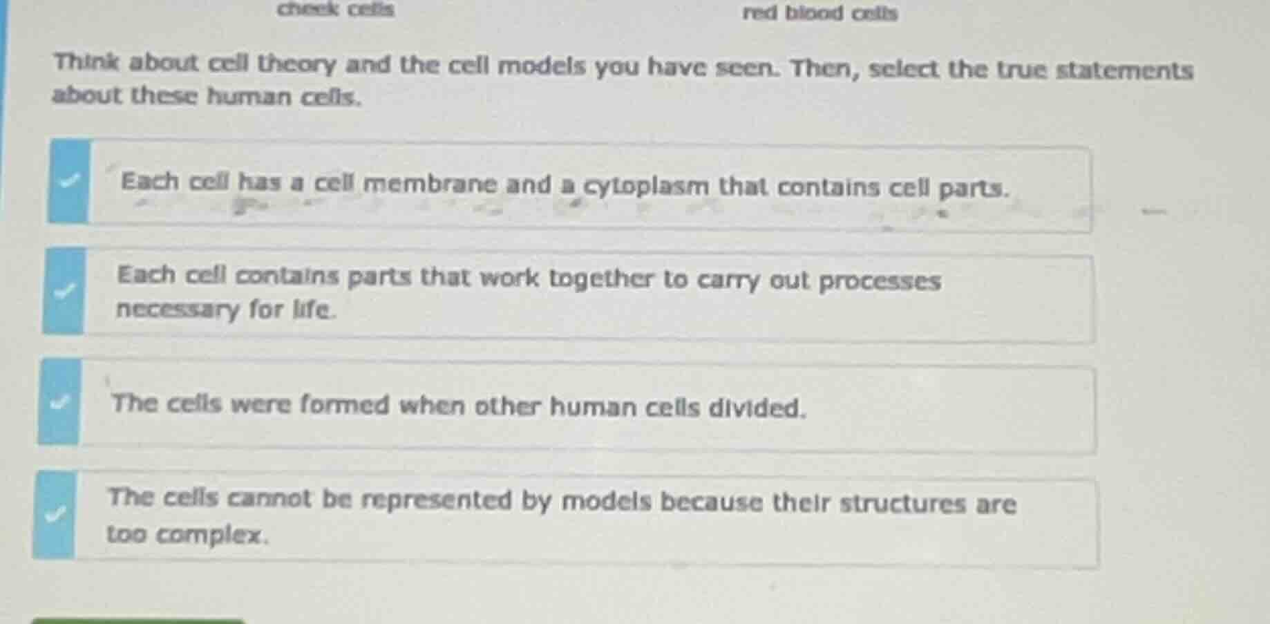 cheek cells red blood cells think about cell theory and the cell models…