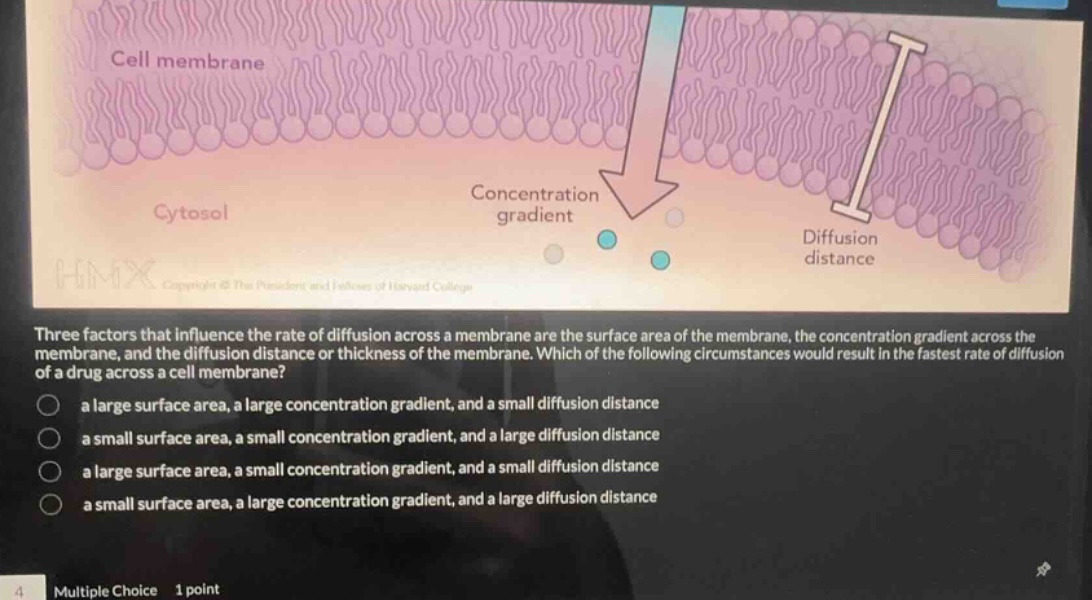 three factors that influence the rate of diffusion across a membrane ar…