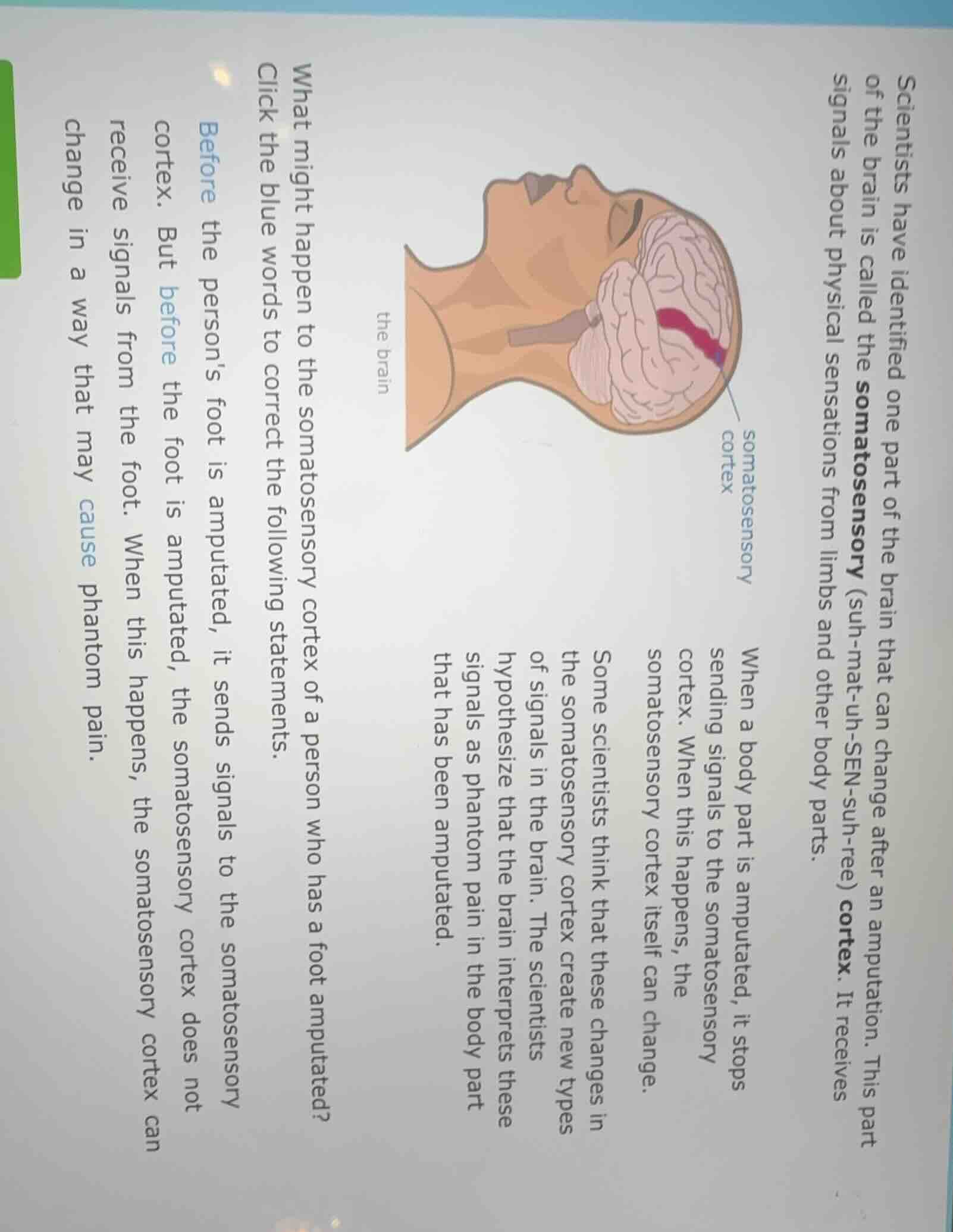 scientists have identified one part of the brain that can change after …