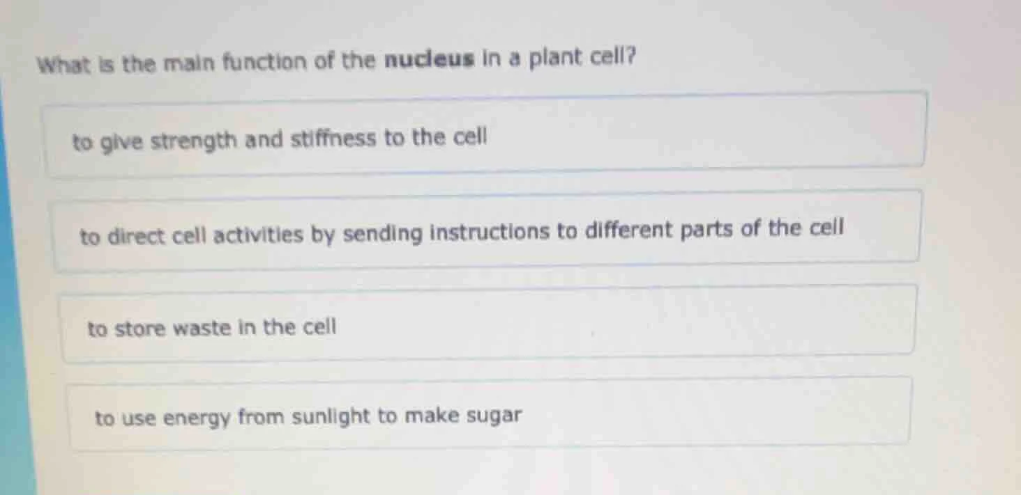 what is the main function of the nucleus in a plant cell? to give stren…