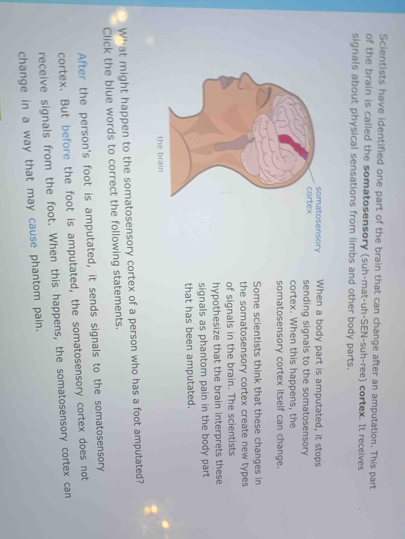 scientists have identified one part of the brain that can change after …