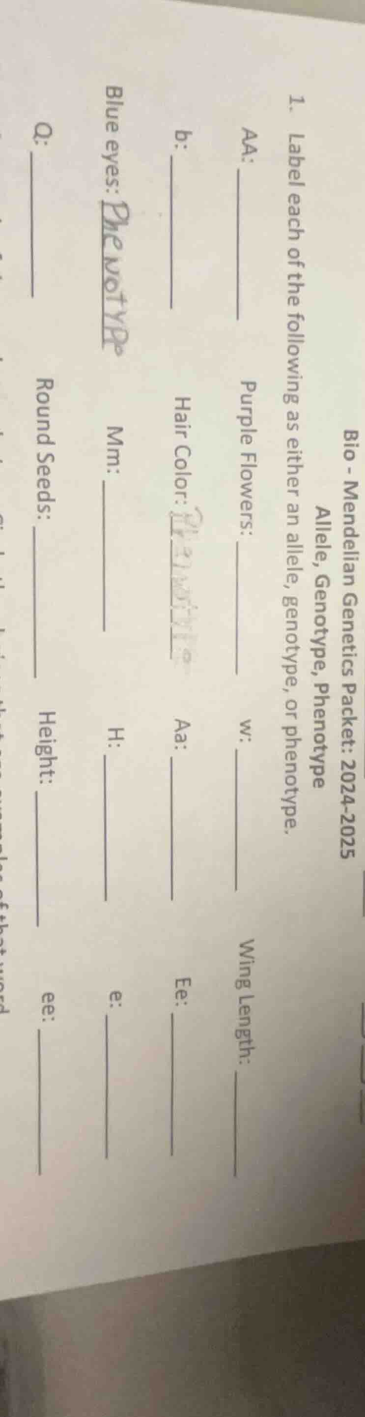 bio - mendelian genetics packet: 2024 - 2025 allele, genotype, phenotyp…