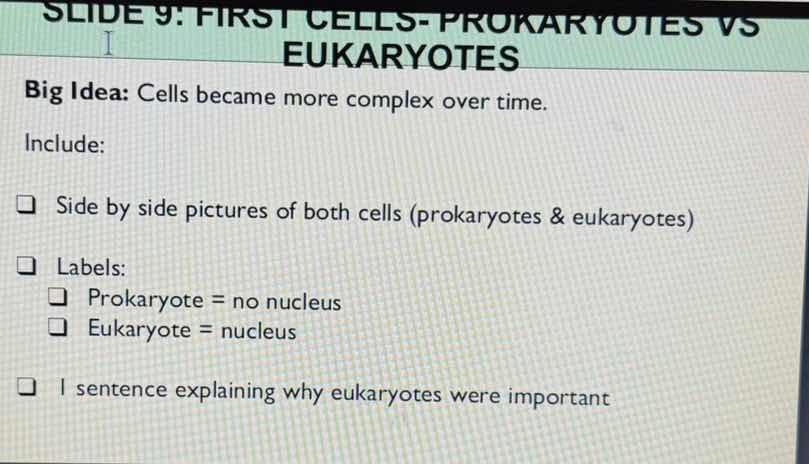 slide 9: first cells- prokaryotes vs eukaryotes big idea: cells became …