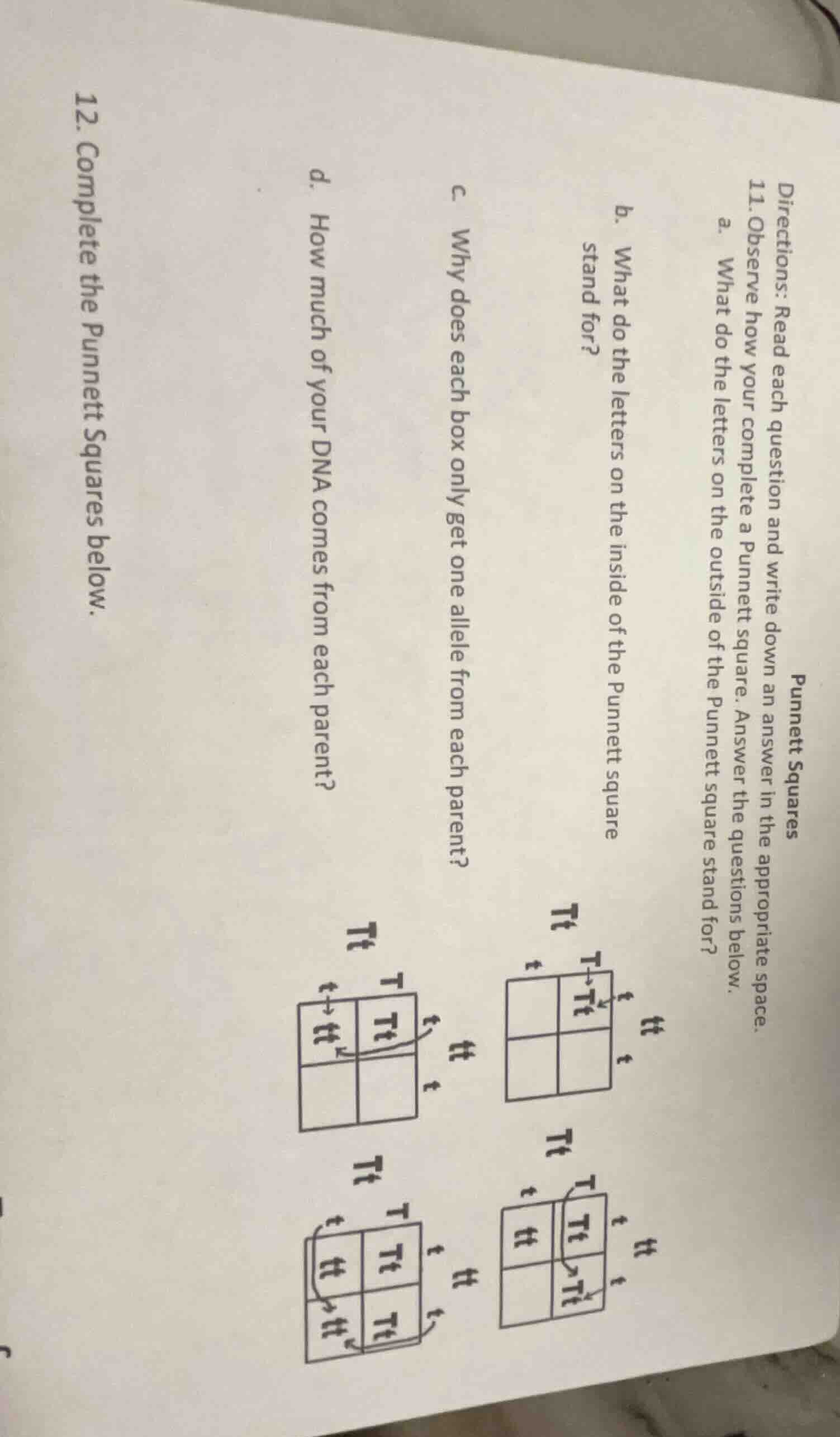 directions: read each question and write down an answer in the appropri…