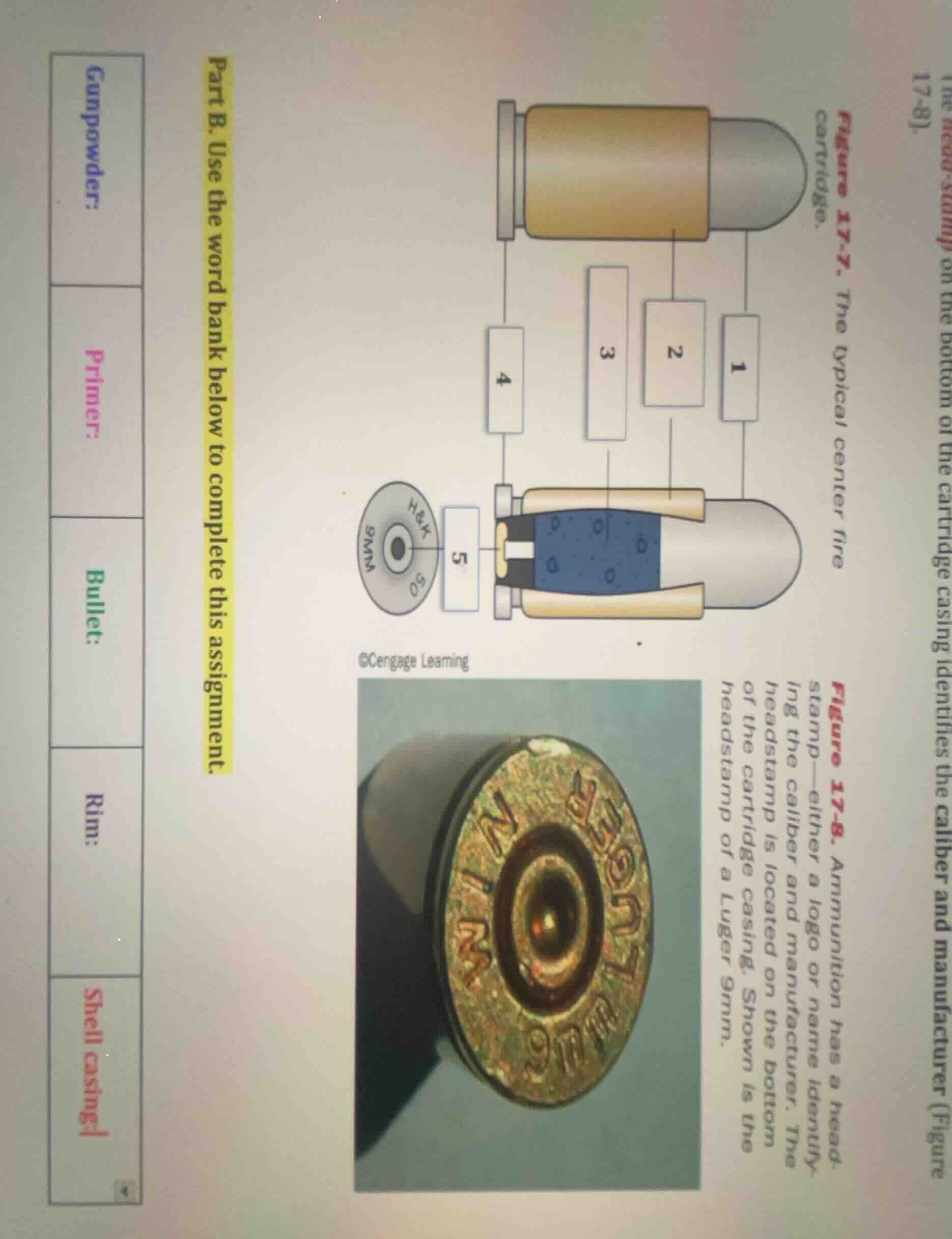 part b. use the word bank below to complete this assignment. gunpowder:…