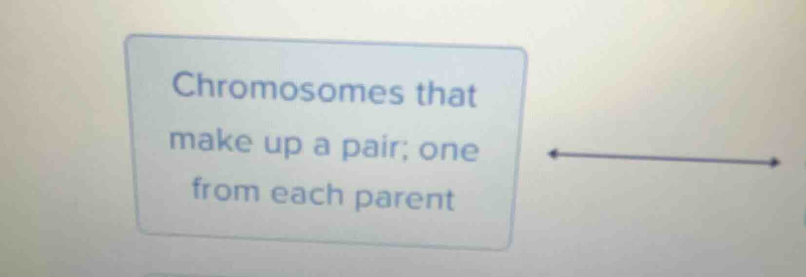 chromosomes that make up a pair; one from each parent