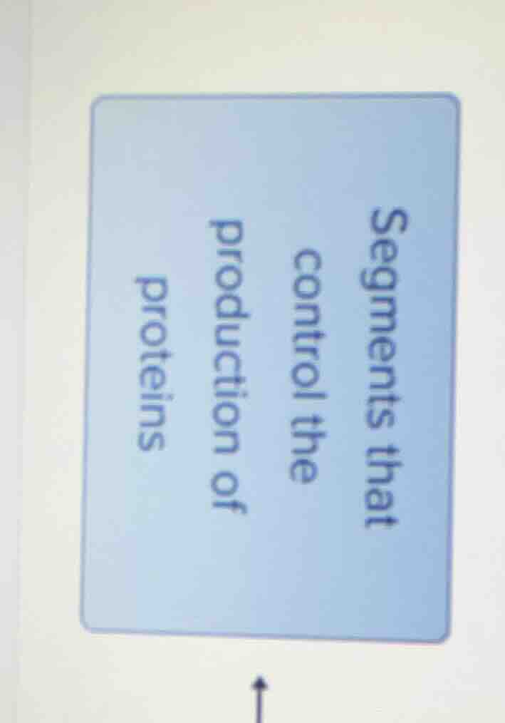 segments that control the production of proteins