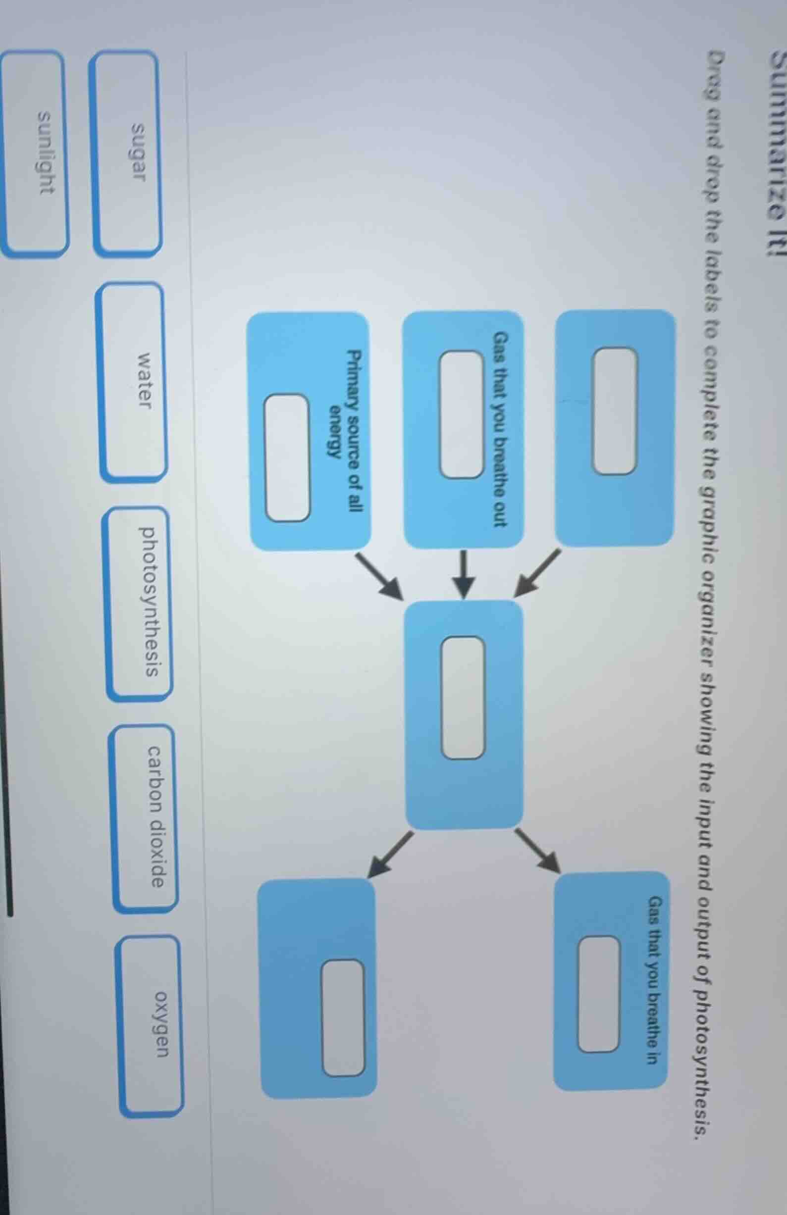 summarize it! drag and drop the labels to complete the graphic organize…