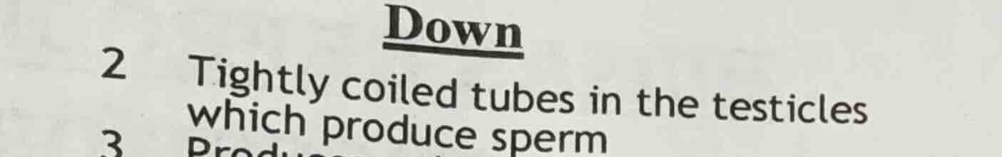 down 2 tightly coiled tubes in the testicles which produce sperm 3