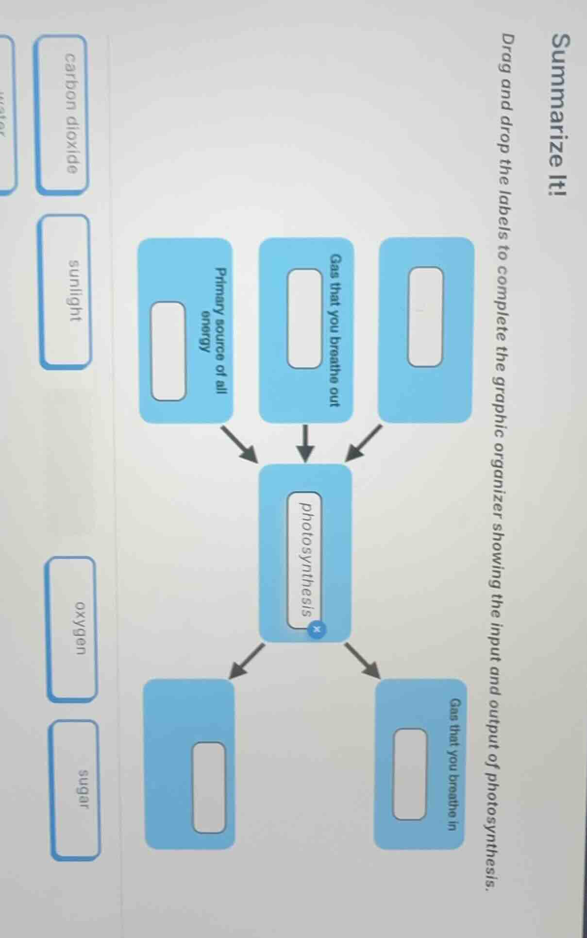 summarize it! drag and drop the labels to complete the graphic organize…