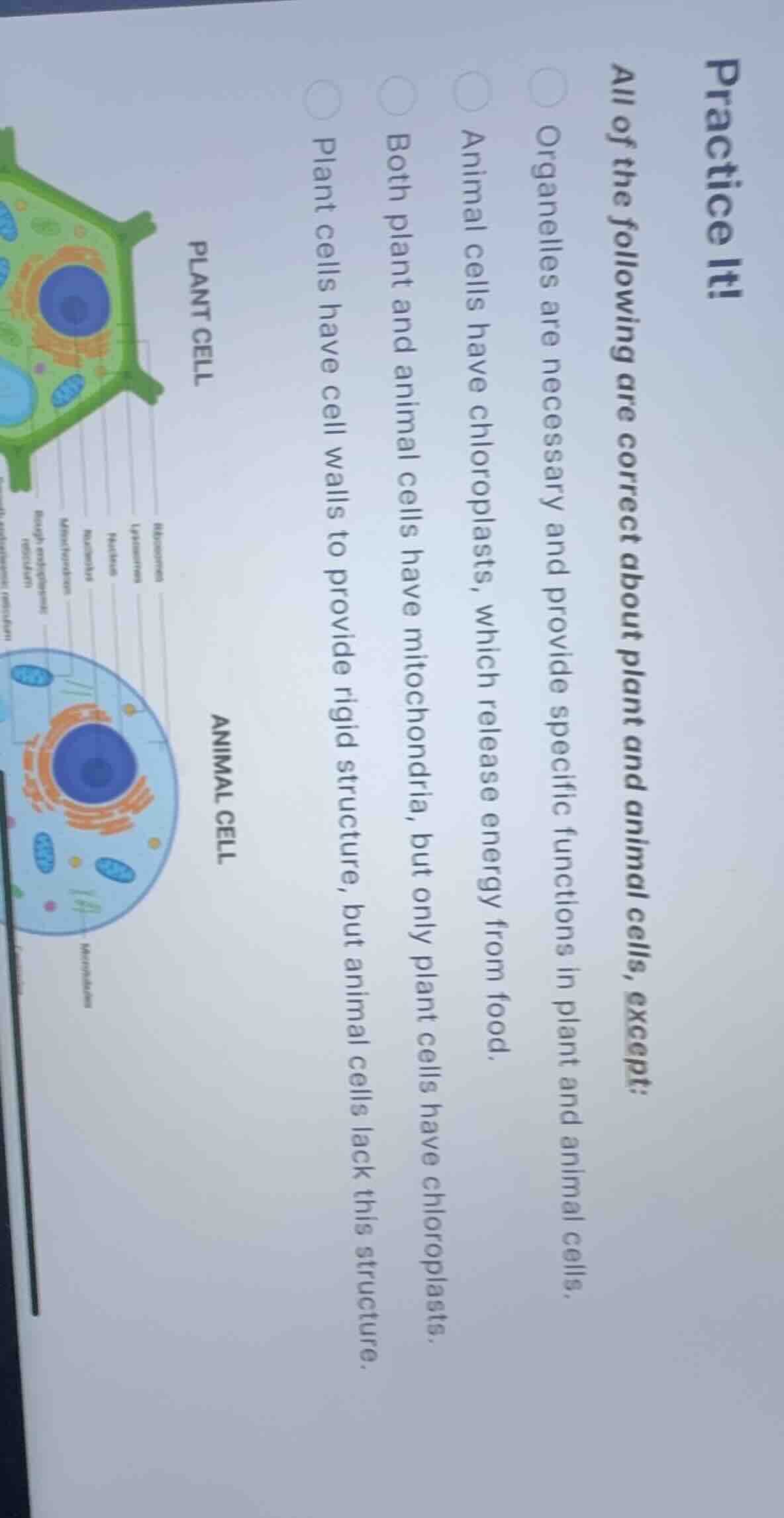 practice it! all of the following are correct about plant and animal ce…