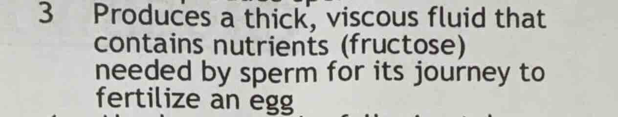 3 produces a thick, viscous fluid that contains nutrients (fructose) ne…
