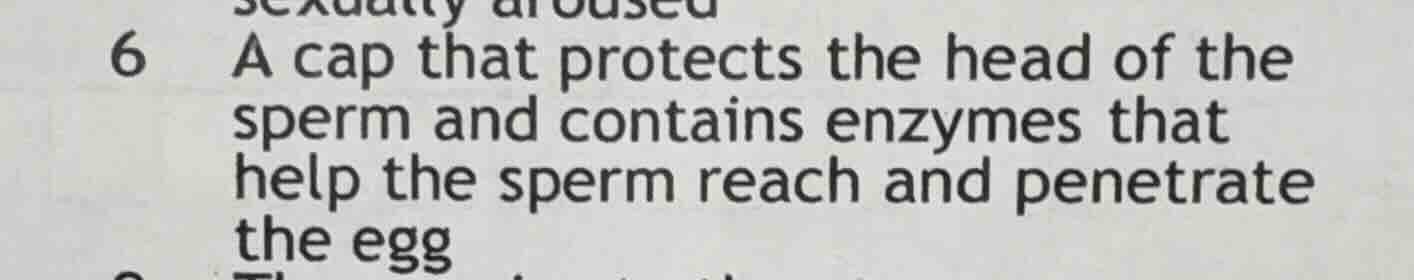 6 a cap that protects the head of the sperm and contains enzymes that h…