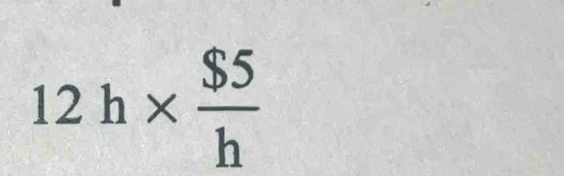 12 h × \\(\\frac{\\$5}{\\text{h}}\\)