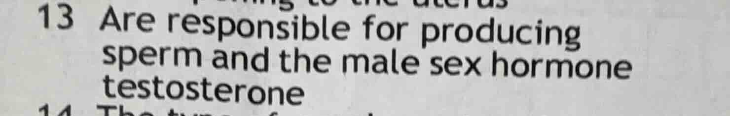 13 are responsible for producing sperm and the male sex hormone testost…