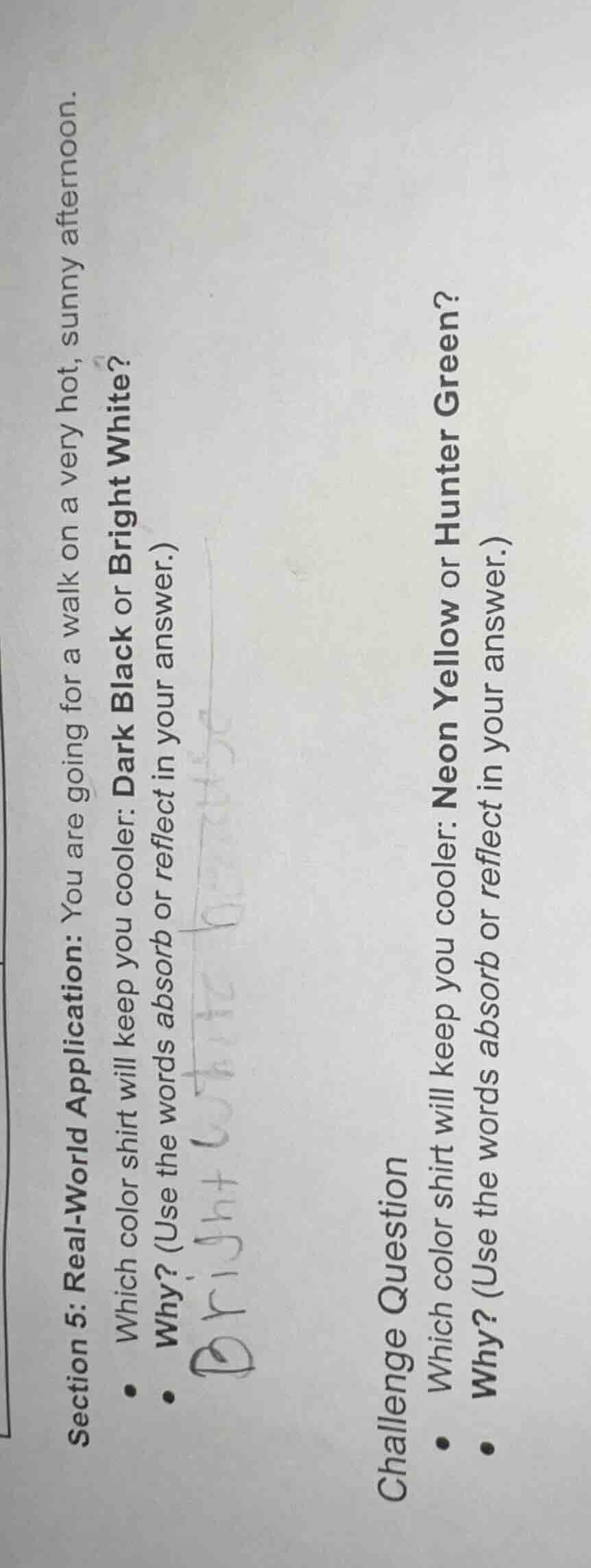 section 5: real - world application you are going for a walk on a very …