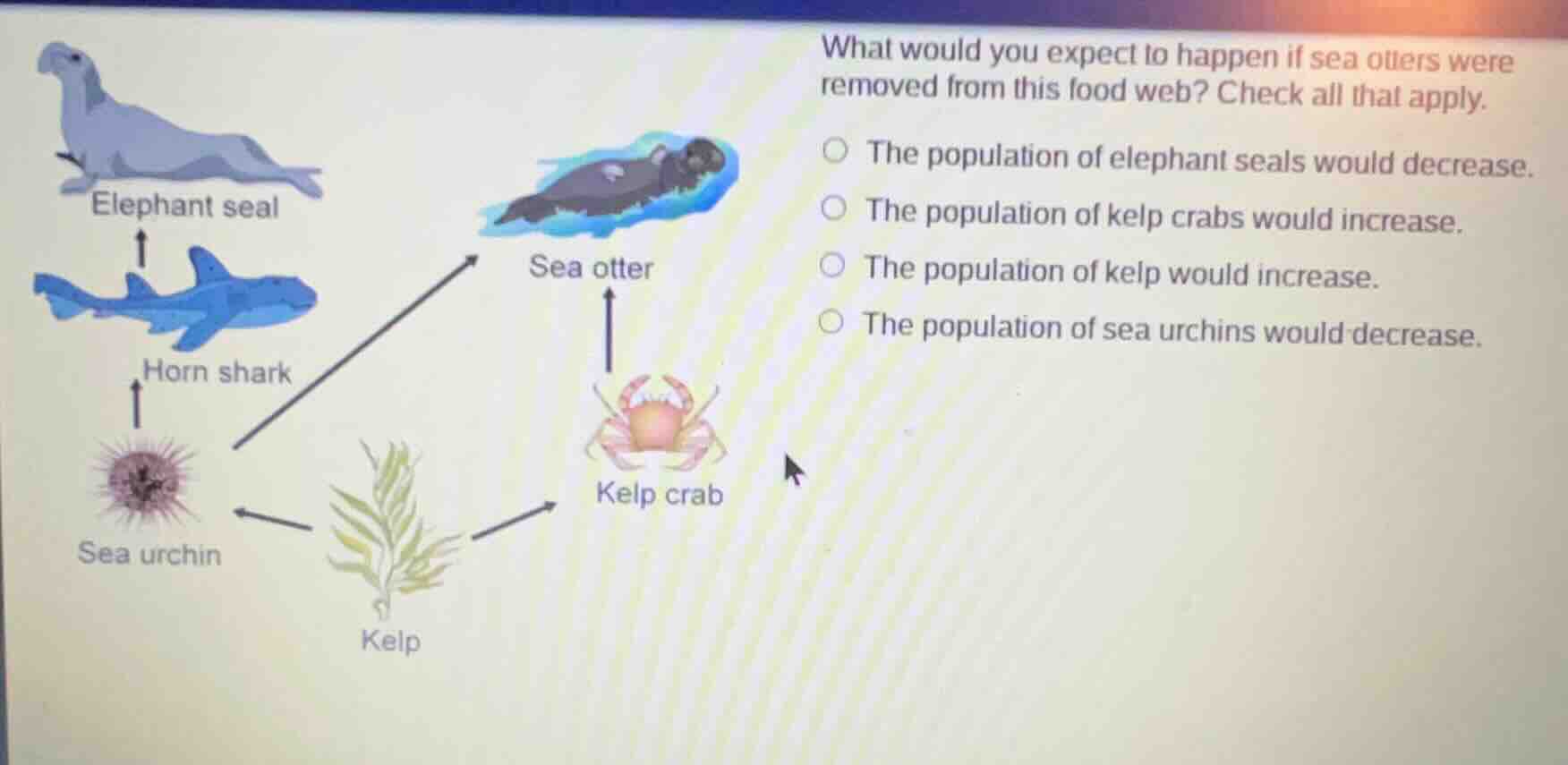 what would you expect to happen if sea otters were removed from this fo…
