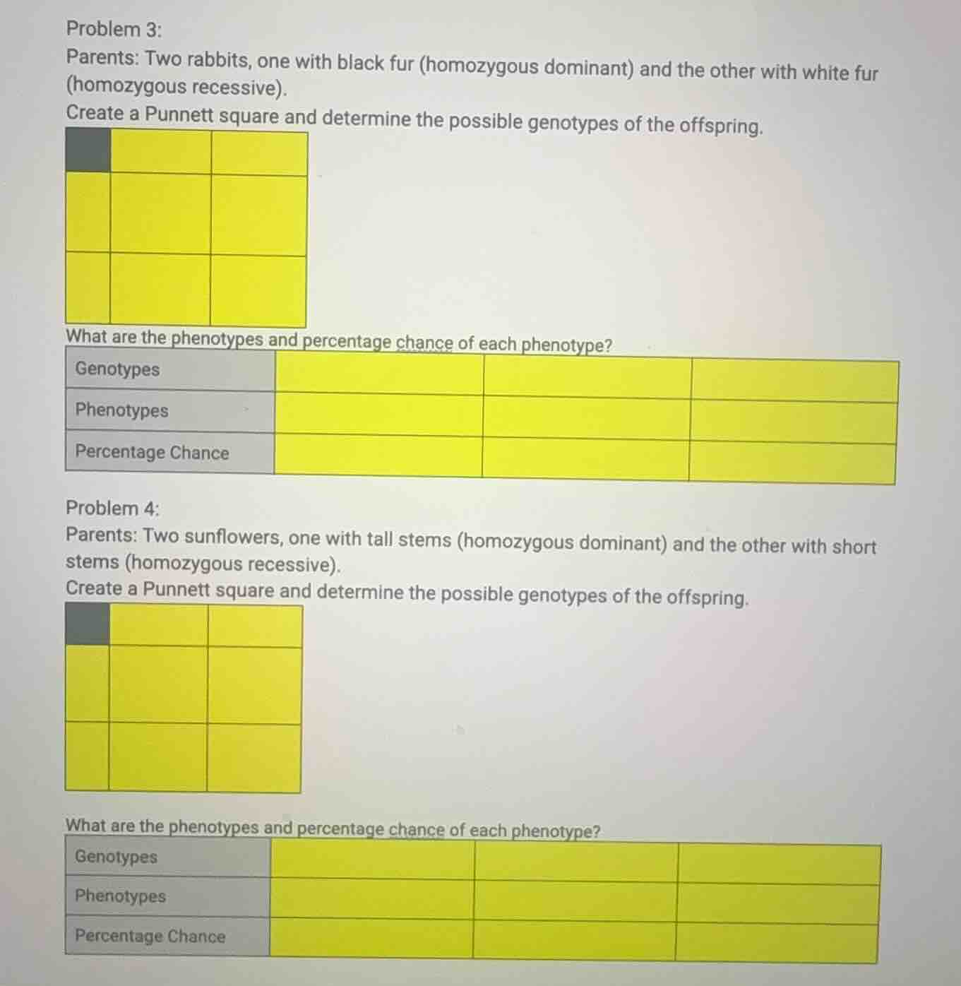problem 3: parents: two rabbits, one with black fur (homozygous dominan…