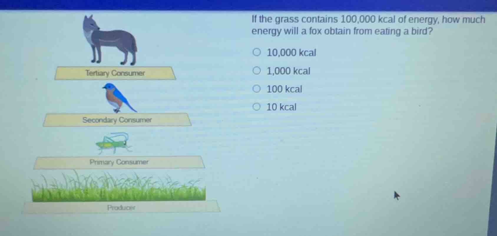 if the grass contains 100,000 kcal of energy, how much energy will a fo…