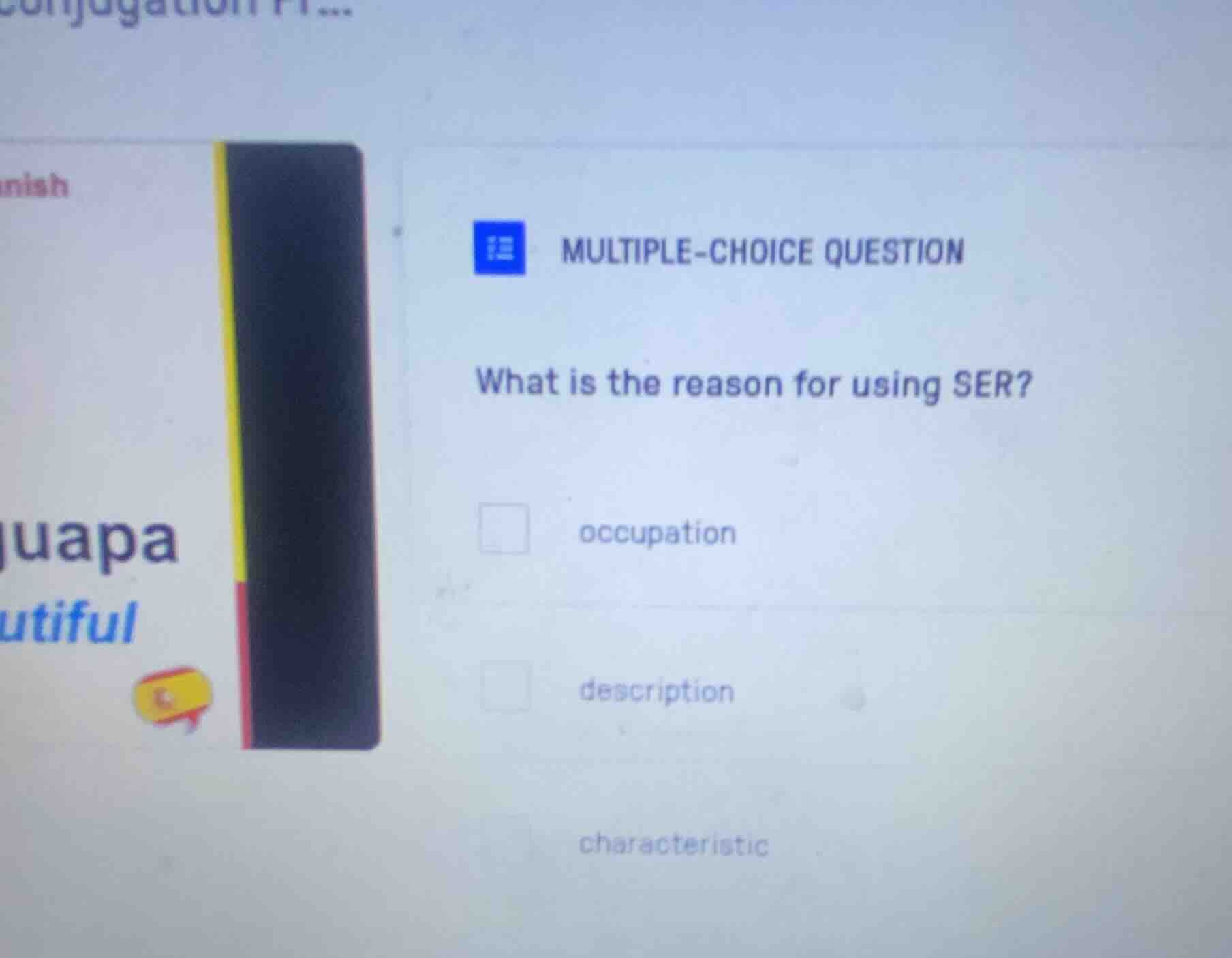 multiple-choice question what is the reason for using ser? occupation d…