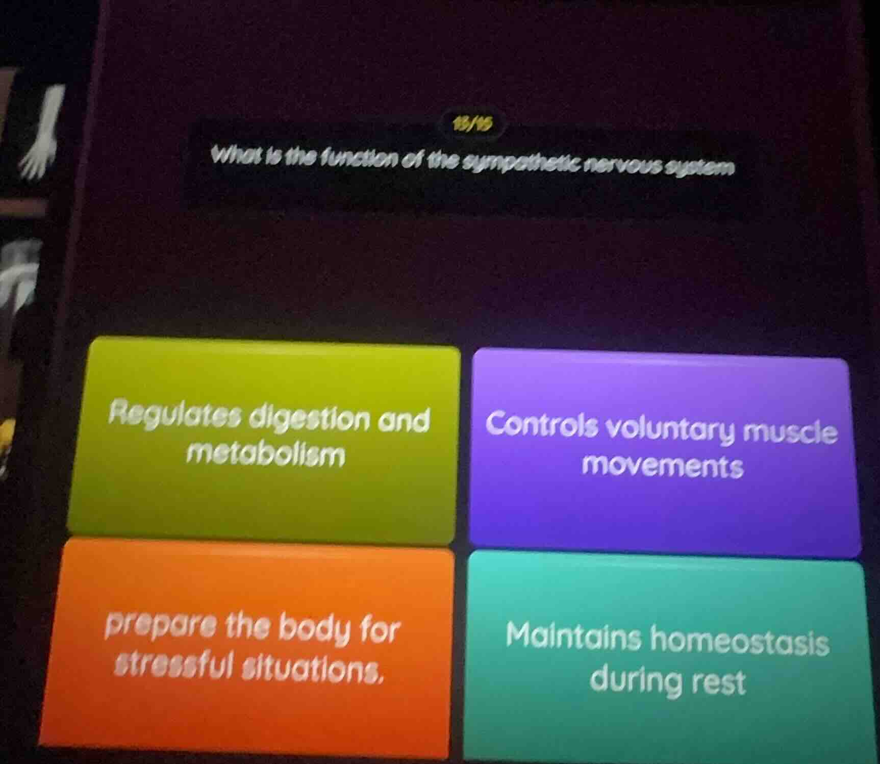 what is the function of the sympathetic nervous system regulates digest…