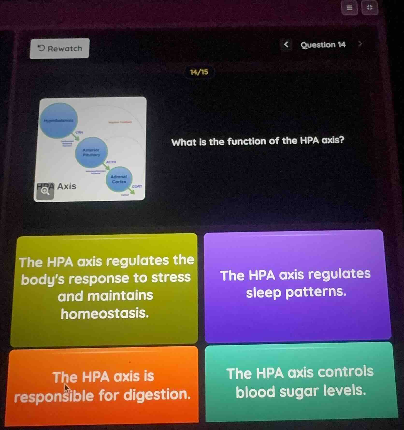 what is the function of the hpa axis? the hpa axis regulates the body’s…