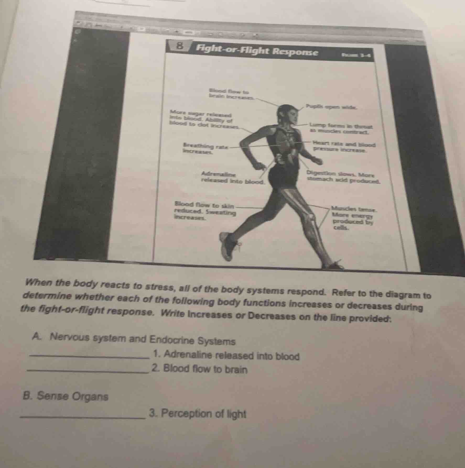 when the body reacts to stress, all of the body systems respond. refer …