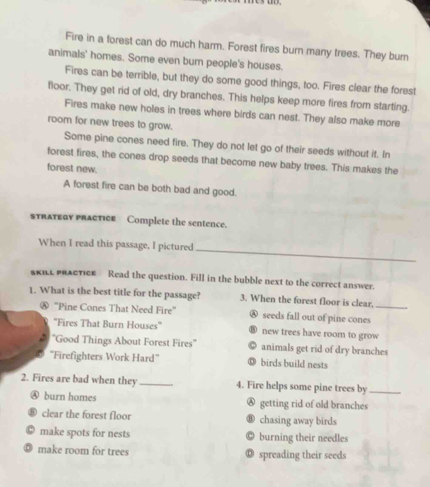 fire in a forest can do much harm. forest fires burn many trees. they b…