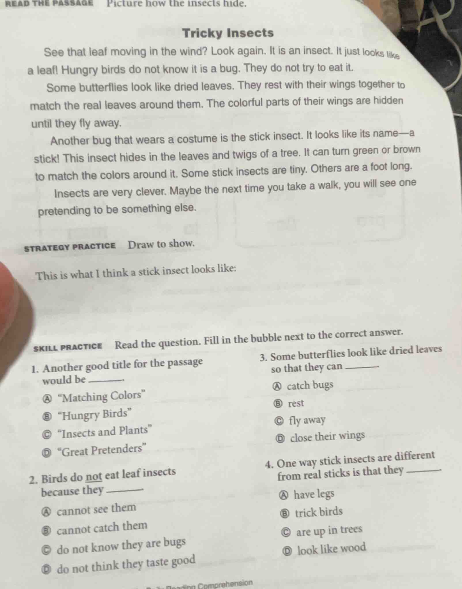 read the passage picture how the insects hide. tricky insects see that …