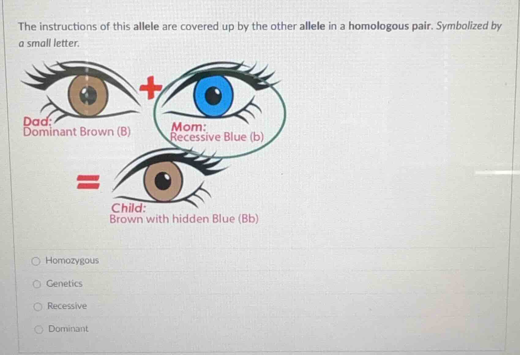the instructions of this allele are covered up by the other allele in a…